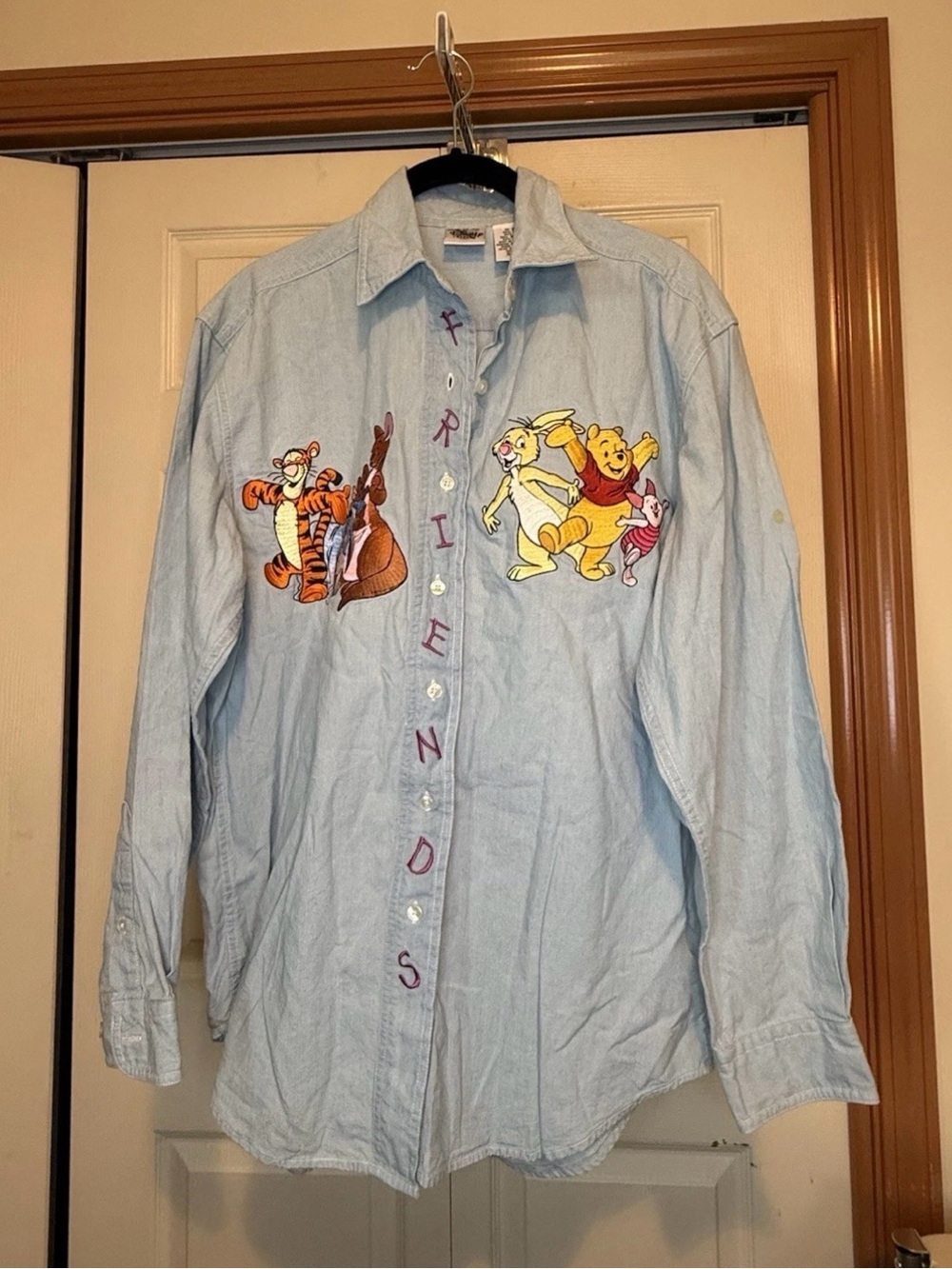 Disney Winnie the Pooh & Friends Embroidered Button-Down Shirt - S